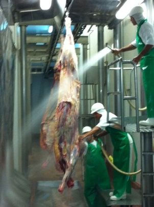 Russos visitam plantas de abate de bovinos em Mato Grosso