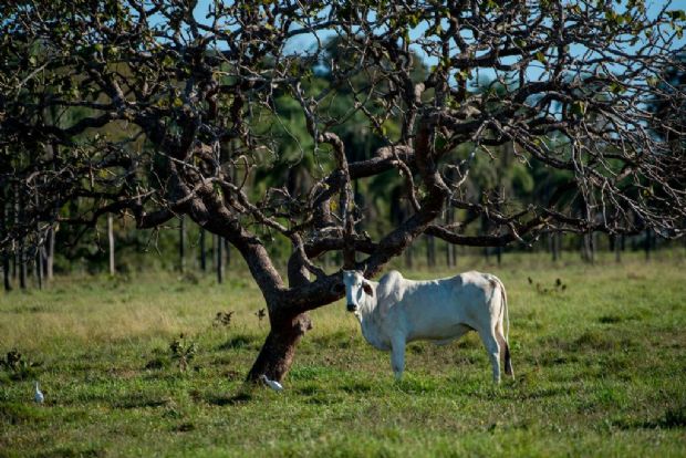 Prazo para retificao do Cadastro Ambiental  prorrogado para 2018 em Mato Grosso