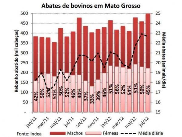 Mato Grosso abate quase 500 mil cabeas de gado por ms