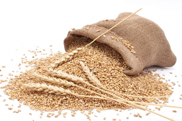 Menor demanda por farinha reduz liquidez no mercado do gro de trigo