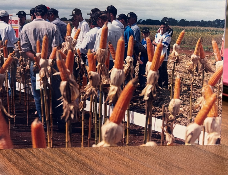 Pesquisas de Lucas do Rio Verde ajudaram a transformar o milho em segunda safra no Cerrado