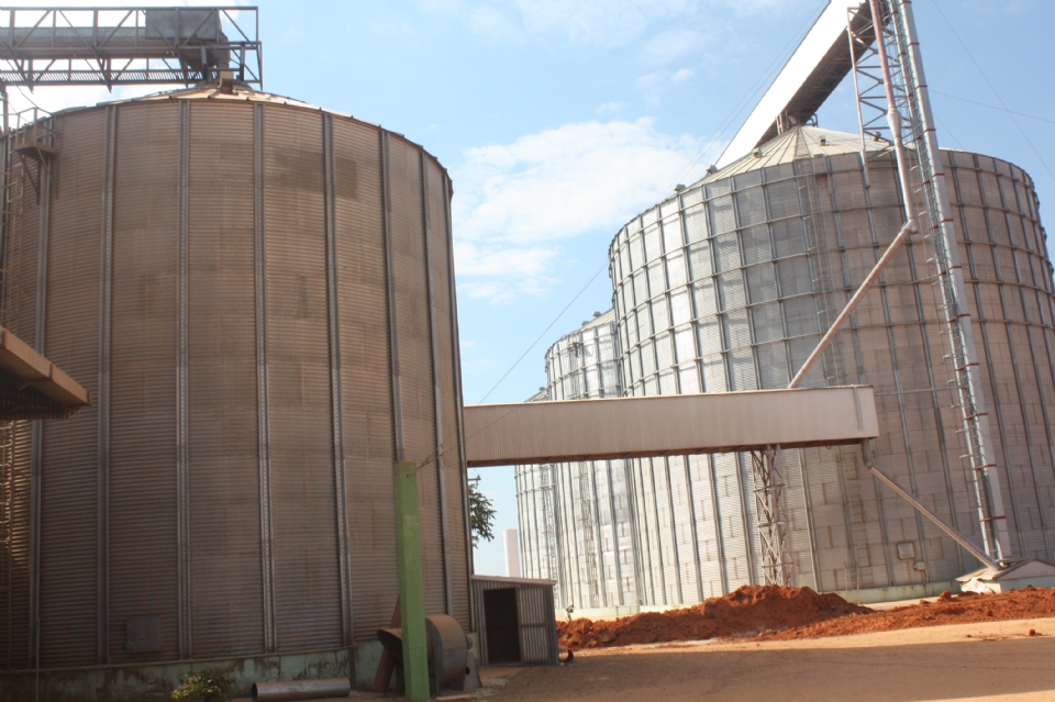 Problemas de armazenamento de grãos prejudicam safras de soja e milho