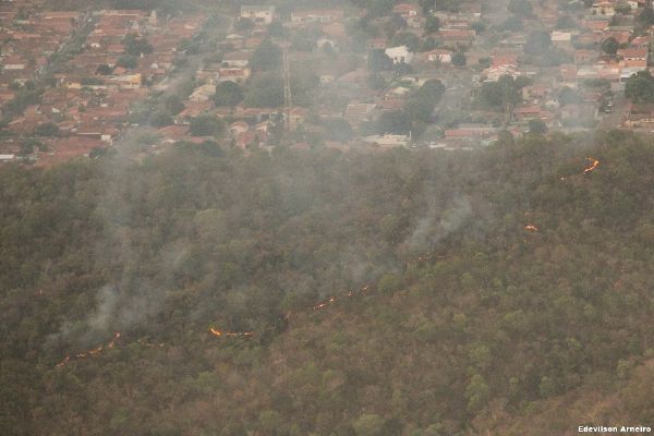 Incndio consome mais de 75% de parque em Barra do Garas;  Veja fotos