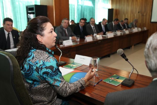 Setor de semente de soja tem demandas apresentadas  nova ministra da Agricultura