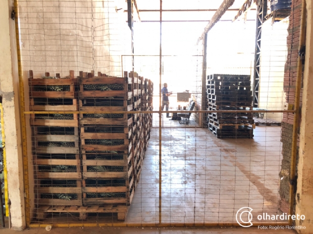 ​Batata e laranja acabam e estoque de outros produtos pode esvaziar at� segunda-feira