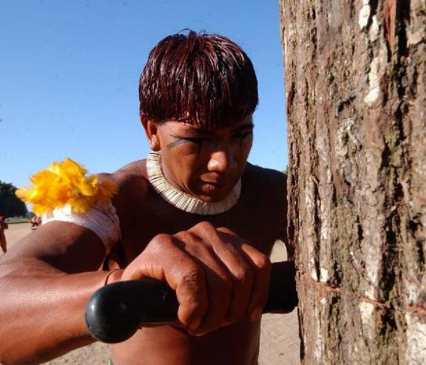 Convnio levar aes de conservao ambiental a ndios