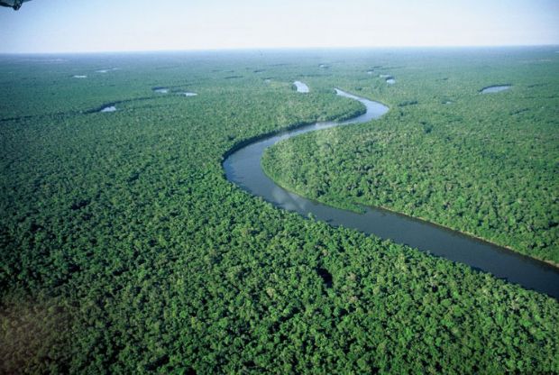 Governo estuda construir hidrelétricas que vão inundar área de floresta cinco vezes maior que Cuiabá