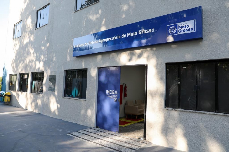 Indea confirma caso de besouro que ataca colmeias em MT e emite nota tcnica para produtores