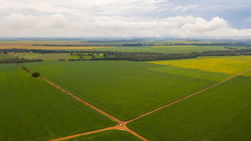 Com 58% do CAR analisado, Mato Grosso se mantm na liderana nacional