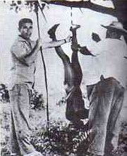 Foto mostra ndio sendo torturado em Mato Grosso (1967)