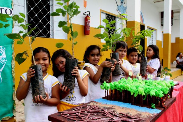 Empaer doa mudas nativas para feira de cincias em escola