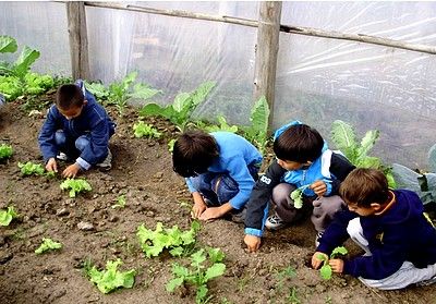 Assist�ncia t�cnica favorece vendas de produtos da agricultura familiar