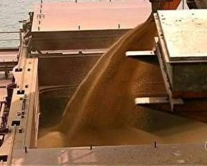 China comprou 926.6 mil t de soja no 1 bimestre