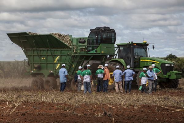 Escolarizao profissional  o maior entrave do agronegcio, avalia Otvio Celidonio