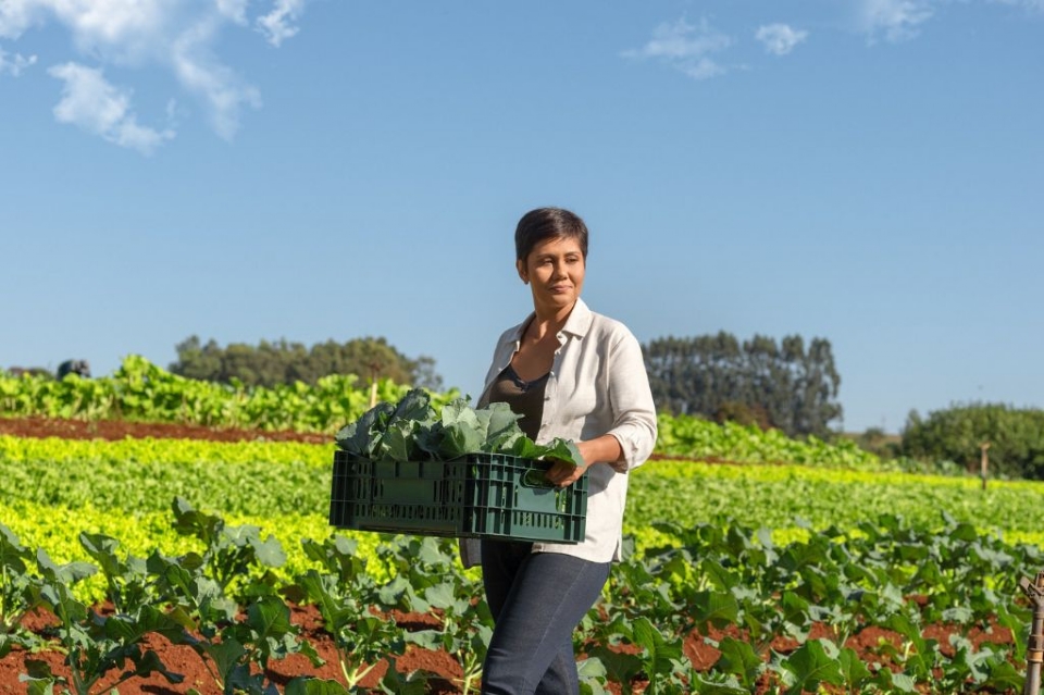 Sicredi refora financiamento de projetos sustentveis e amplia carteira de crdito para economia verde