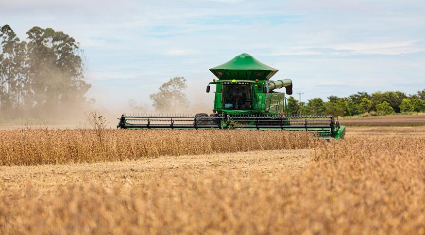Puxado pelo setor agropecurio, Mato Grosso ser segundo estado do pas com maior crescimento do PIB