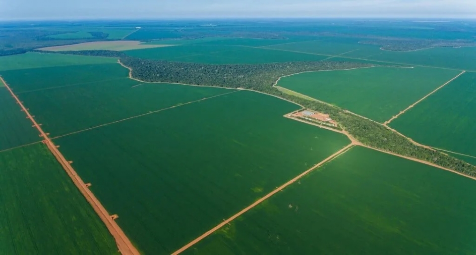 Mato Grosso tem cinco fazendas entre as mais valiosas do Brasil em 2024