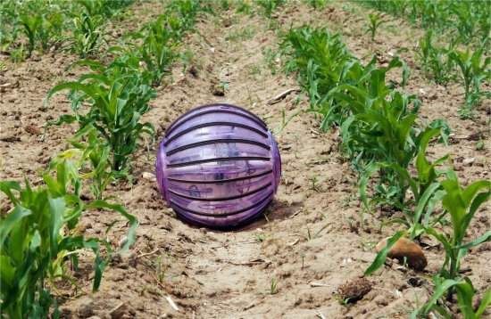 Agricultura de preciso conta com rob esfrico para inspecionar lavouras