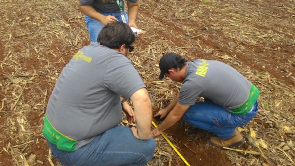 De olho no cu, produtores de Mato Grosso seguram vendas  espera de bons preos