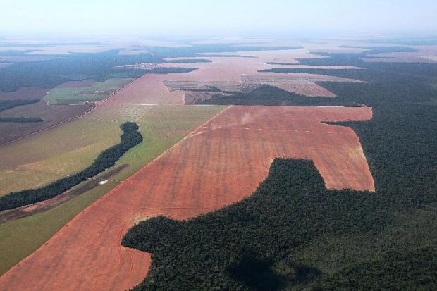 Mais de 50% da rea dos imveis rurais em Mato Grosso  preservada, diz Embrapa