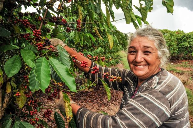 Escolas de Vrzea Grande compraro R$ 1,7 mi em produtos da agricultura familiar