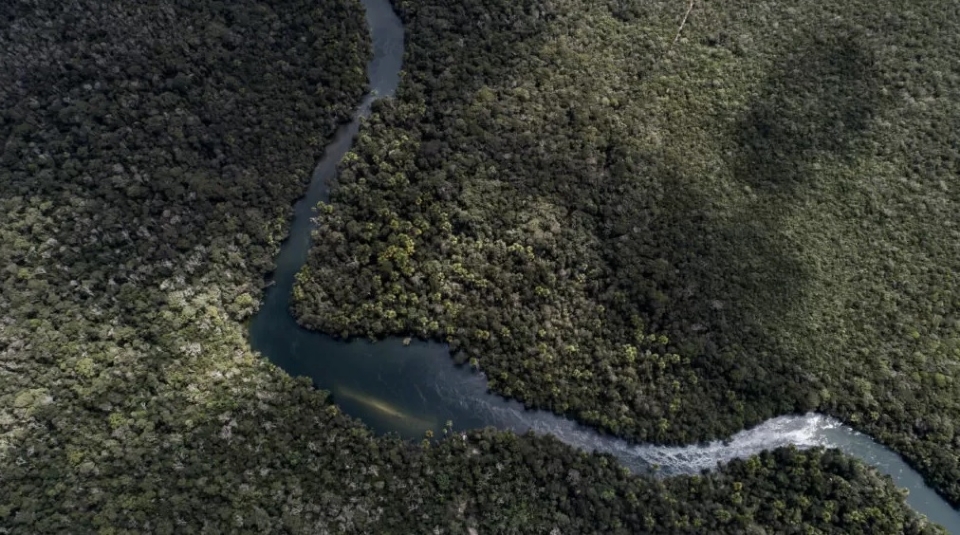 Pelo segundo ano consecutivo, AMAGGI � l�der do ranking mundial por a��es contra o desmatamento