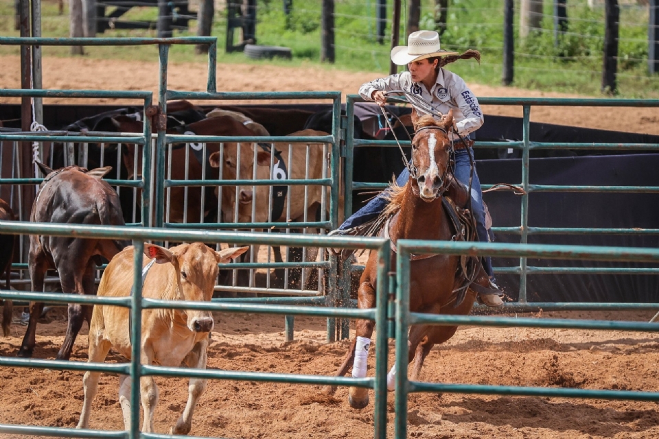 Semana do Cavalo movimenta R$ 60 milh�es e gera cerca de 2 mil empregos no Parque Novo Mato Grosso
