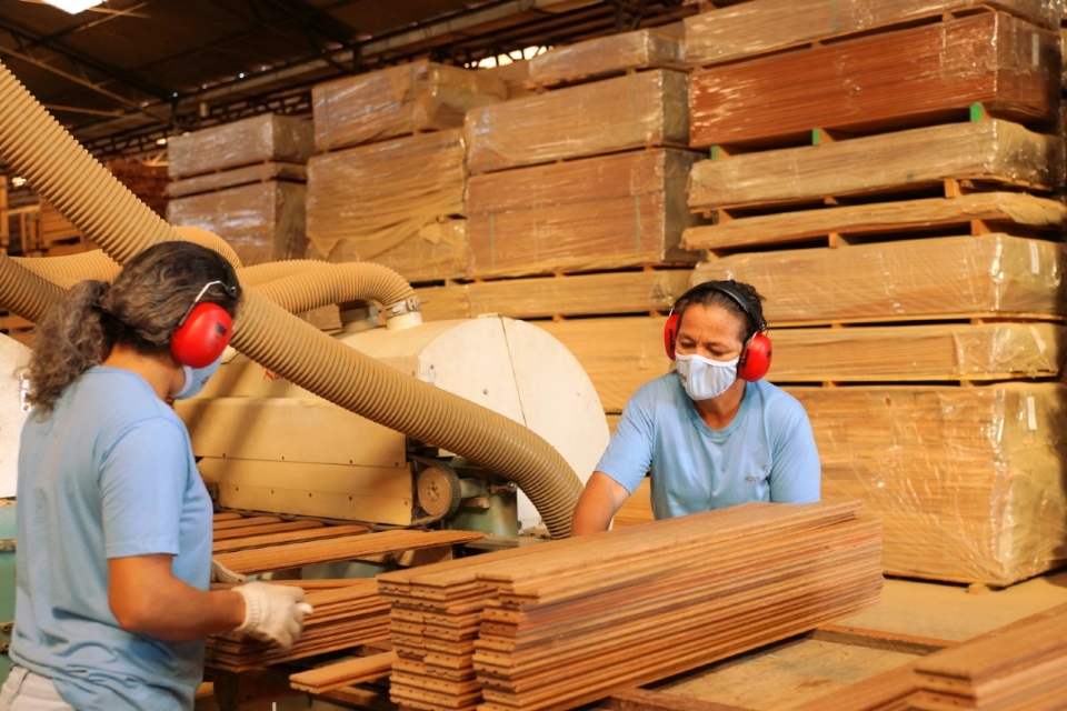 Setor madeireiro busca R$ 50 milh�es para evitar colapso p�s tarifa�o
