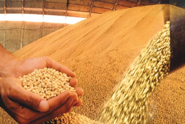 Abiove prev exportao recorde de soja do Brasil em 13/14