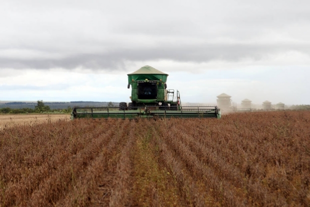 Mato Grosso produziu 9% de toda soja no mundo no ano passado