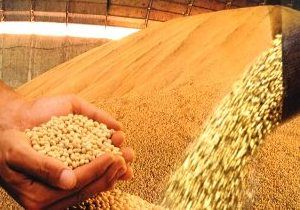 VPB da soja produzida em Mato Grosso chega a R$ 21,8 bilhes entre janeiro e outubro