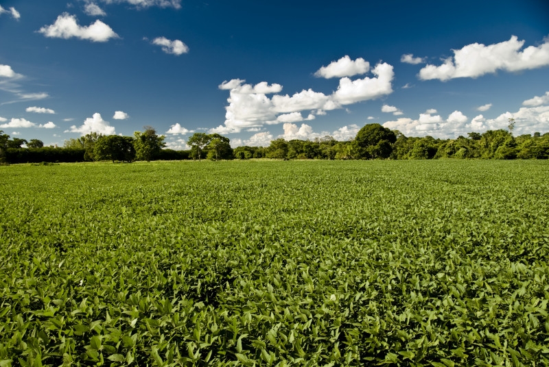 Mercado de carbono na agricultura ser tema de seminrio da Aprosoja-MT