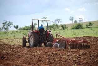 Microprodutor rural tem Inscrio Estadual simplificada pela Sefaz em Mato Grosso