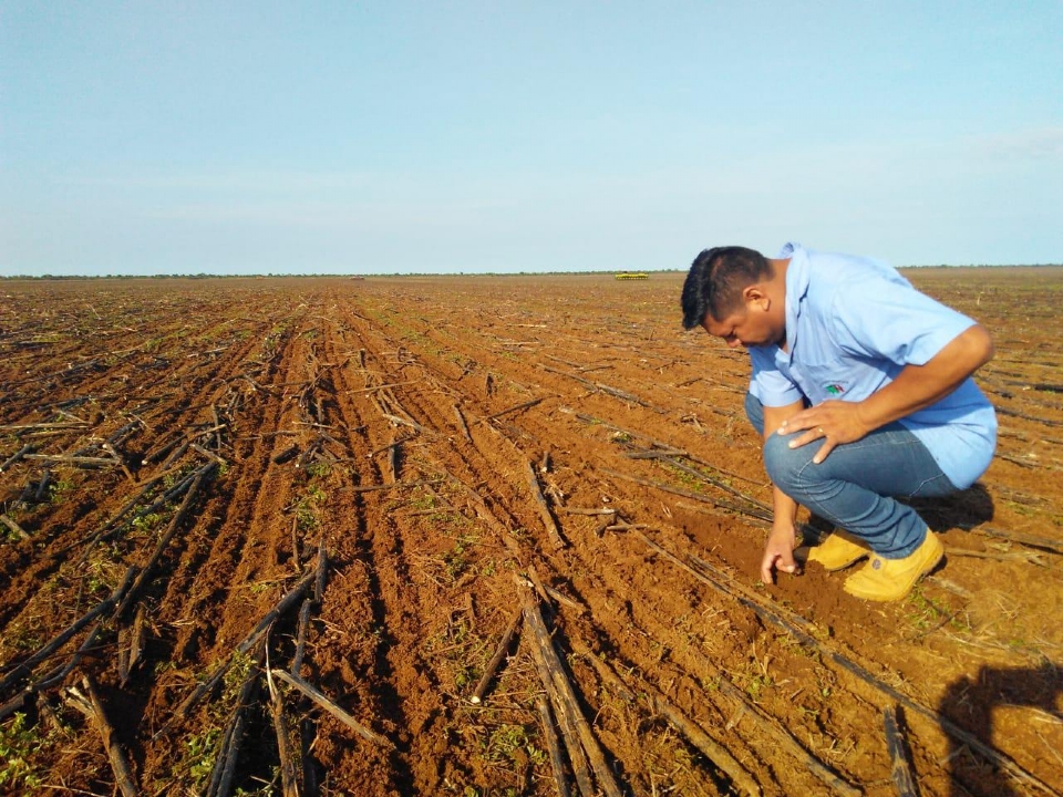 Reserva indígena arrecada R$ 10 milhões por ano com produção de milho e soja