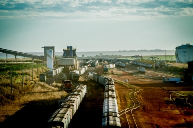 TCU d aval para renovao da Malha Paulista e garante expanso de ferrovia em MT