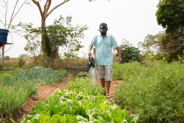 Encontro discute impactos da agricultura na natureza e defende produo orgnica sem insumos e venenos em MT