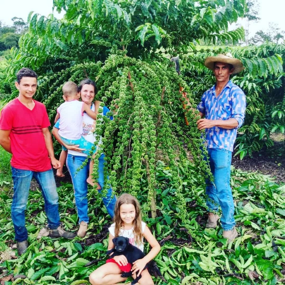 Projeto da Empaer restaura lavouras de caf e transforma vida de famlias de assentamento em MT