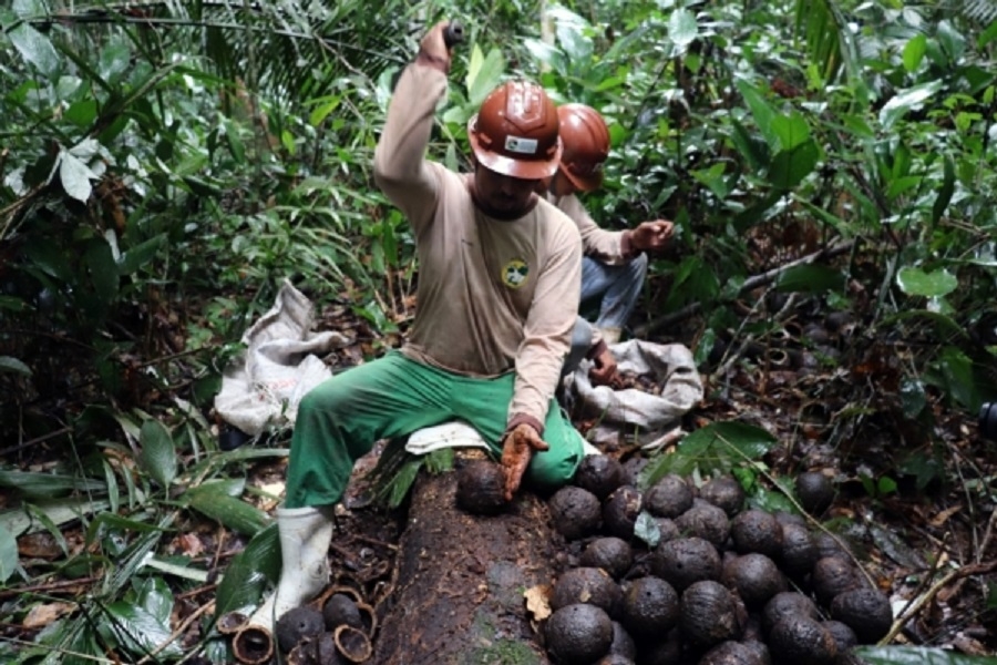 REM MT lana projeto para beneficiar agricultura familiar e comunidades tradicionais em MT