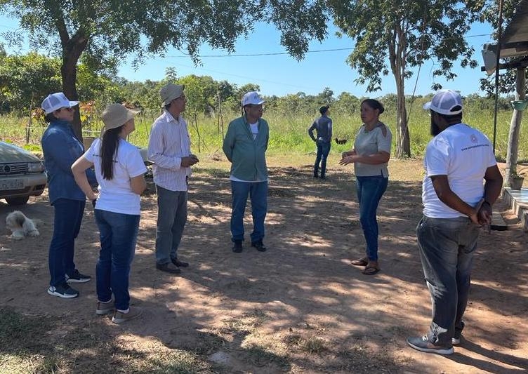 Projeto auxilia famlias na produo e venda de alimentos orgnicos em Pocon