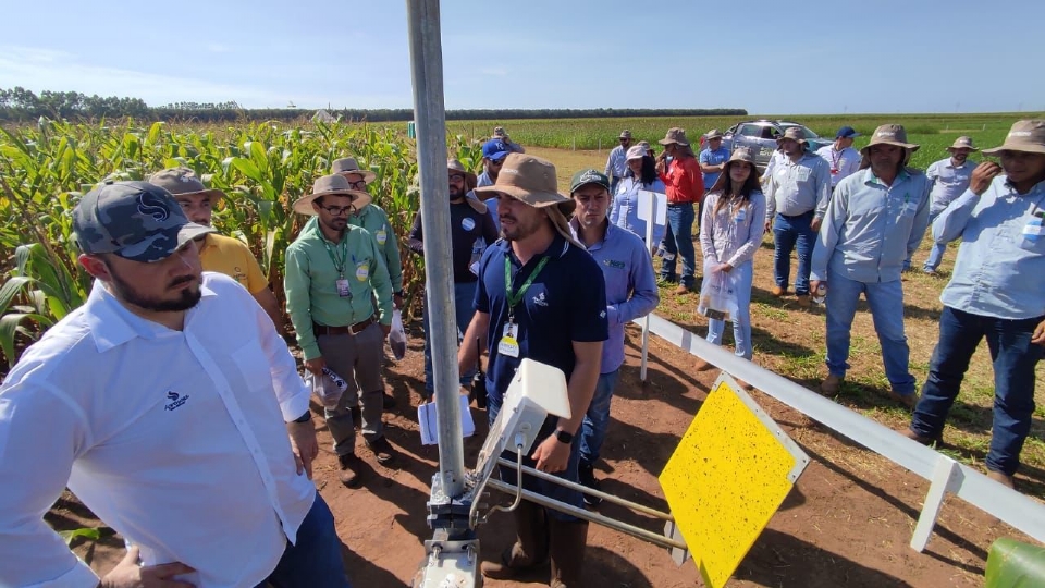 Em evento da Aprosoja-MT, centro de pesquisa apresenta mais de 100 hbridos de milho e cobertura de solos