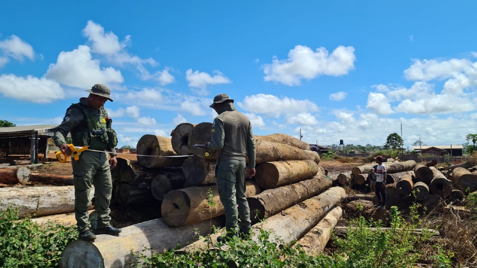 Sema aplica R$ 818 mil em multas e embarga três empreendimentos por estoque de madeira ilegal