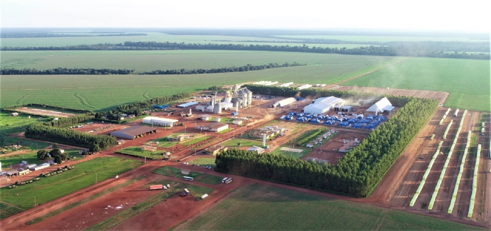 Fazenda Perdizes da SLC Agrcola, localizada em Porto dos Gachos