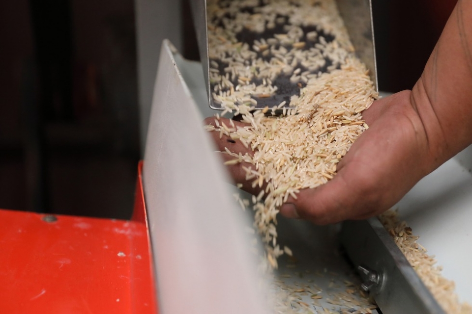 Aumento do preo do arroz nos supermercados  motivado por reduo na produo e reas de plantio