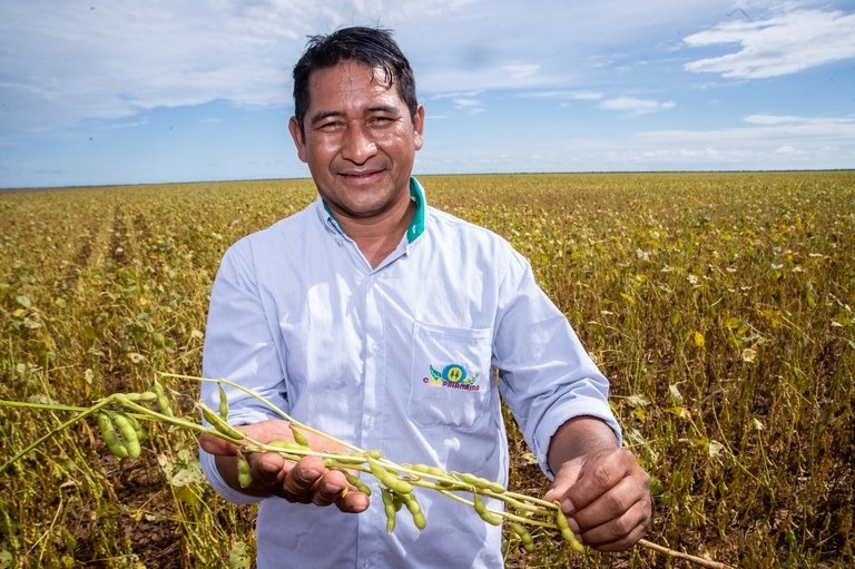 Como o agronegcio tem atuado junto s comunidades indgenas mato-grossenses para garantia de subsistncia e manuteno da cultura