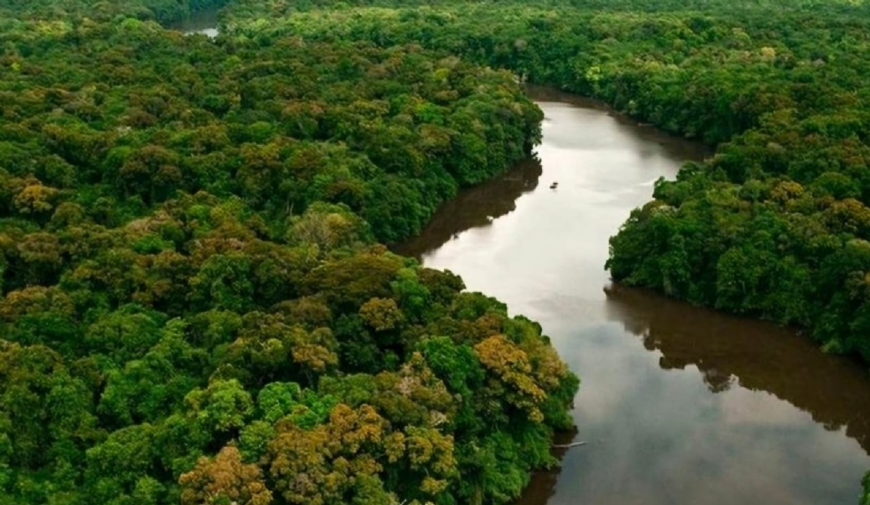 Mato Grosso  referncia em manejo sustentvel e rastreabilidade da madeira nativa