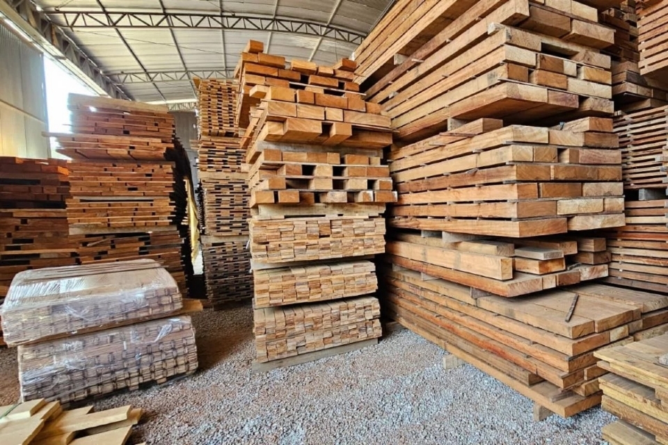 Setor de base florestal de MT busca solues para crise provocada por aumento de tarifas dos EUA