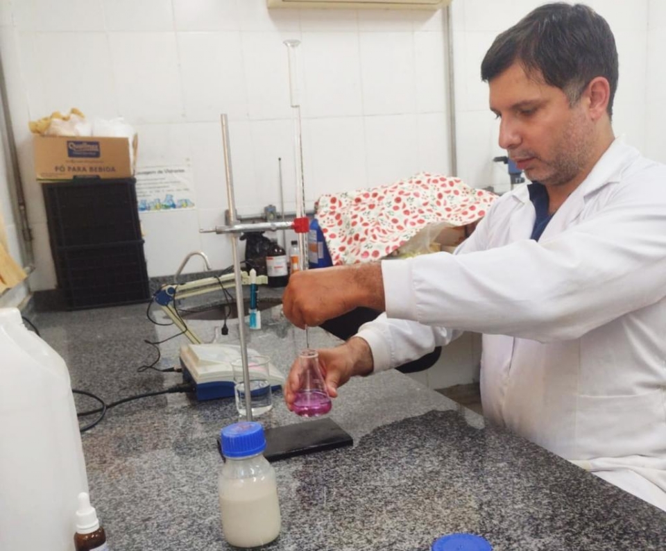 Cajus-do-cerrado coletados no campo para realizao de testes