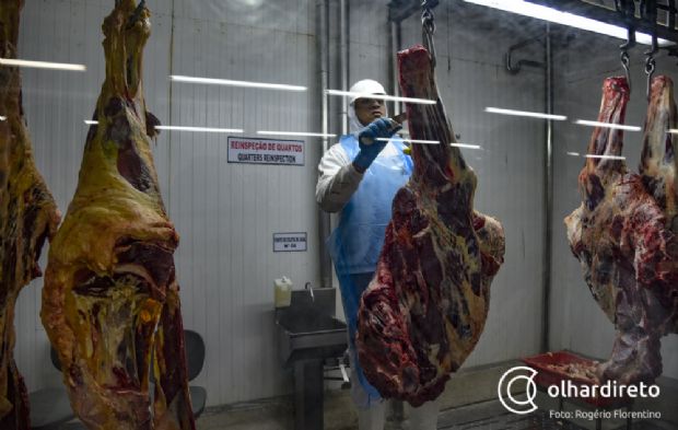 Quinze pases ainda barram entrada de carne brasileira aps Operao Carne Fraca