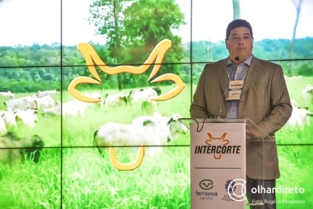 Sustentabilidade e aumento da produo de gado so focos do InterCorte em Cuiab; veja fotos