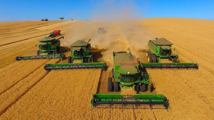 Sojicultores de MT t�m at� 15 de fevereiro para cadastrar lavouras no Indea e evitar multa